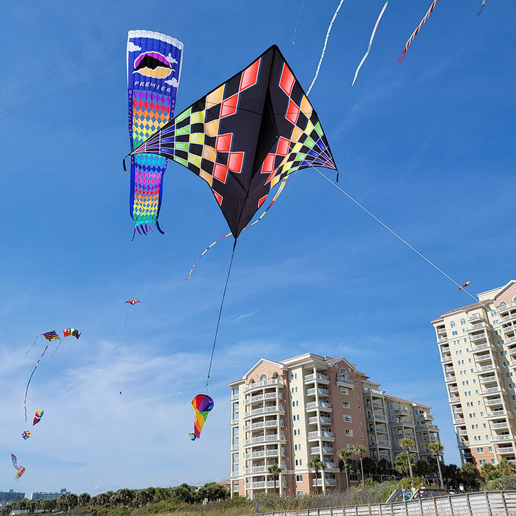 Rainbow Checks Gyro Delta Kite