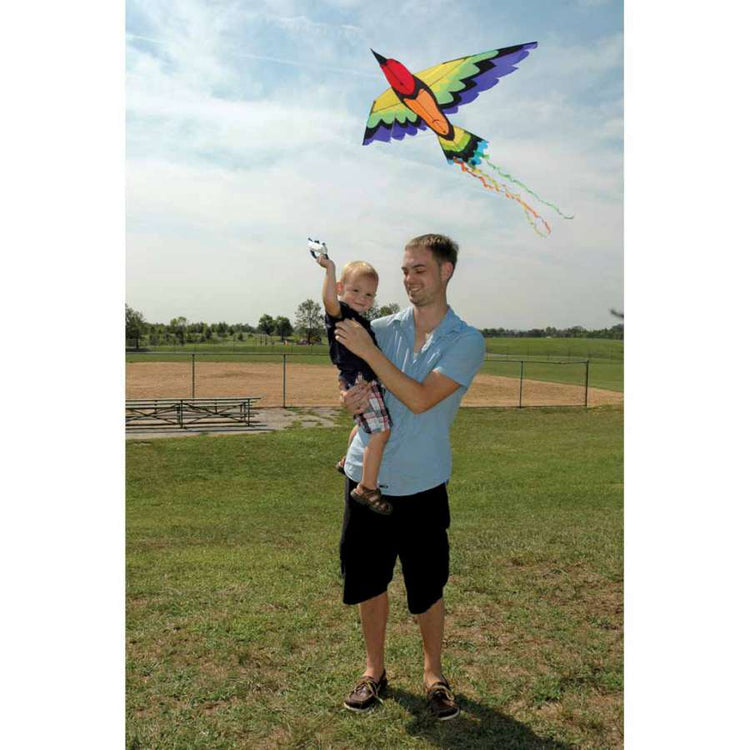 Rainbow Bird Kite